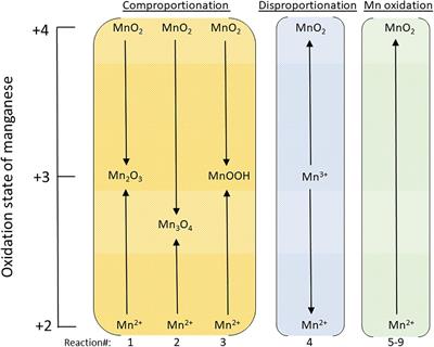 The Energetic Potential for Undiscovered Manganese Metabolisms in Nature